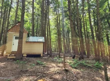 Your mountain adventures await at this unique property. Hidden but easily accessible cabin makes for a cozy camp site. $74,900