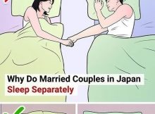 Home News About Why Do Married Couples in Japan Sleep Separately?