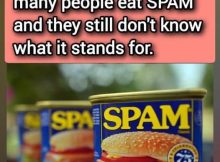 What Is SPAM and What Is It Made Of?