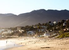 ‘Horrifyingly goofy’ creature washes onto Southern California beach