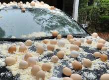 My Neighbor Threw Eggs at My Car Because It Was ‘Blocking the View’ of His Halloween Decorations