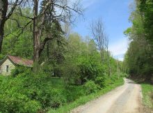 MOTIVATED SELLER! This 134-acre property, predominantly wooded, offers a secluded location along a dirt and gravel county road, just under a mile from a two-lane state route.