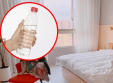 You should throw a bottle of water under the hotel bed as soon as you check in – Here’s why?